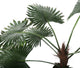 Artificial 3ft 6" Windmill Fan Palm Tree - Closer2Nature