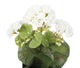 Artificial 24cm White Zonal Geranium Plug Plant - Closer2Nature