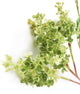 Artificial 76cm Single Stem Green Lilac Blossom - Closer2Nature