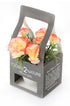 Artificial 15cm Peach Carnation Plant with Gift Box