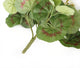 Artificial 24cm White Zonal Geranium Plug Plant - Closer2Nature