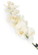 Artificial 109cm Single Stem White Phalaenopsis Orchid - Closer2Nature