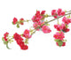Artificial 129cm Single Stem Cerise Japanese Cherry Blossom - Closer2Nature