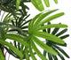 Artificial 3ft Lady Palm Tree - Closer2Nature