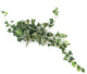 Artificial 57cm Variegated Ivy Plug Plant - Closer2Nature