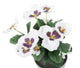 Artificial 30cm White Pansy Plug Plant - Closer2Nature