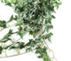Artificial 57cm Variegated Ivy Plug Plant - Closer2Nature
