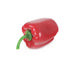 Artificial 8cm Bell Pepper - Closer2Nature