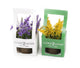 Artificial 18cm Purple Bellflower Plant with Gift Box - Closer2Nature