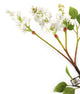 Artificial 76cm Single Stem White Lilac Blossom - Closer2Nature