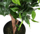 Artificial 3ft 5″ Danielle Weeping Fig Tree - Closer2Nature