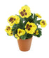 Artificial 30cm Yellow Pansy Plug Plant