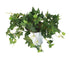 Artificial 25cm Green Ivy Plug Plant