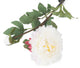 Artificial 80cm Single Stem White Peony - Closer2Nature