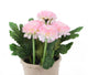 Artificial 18cm Pink Chrysanthemum Plant with Gift Box - Closer2Nature