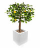 Artificial 3ft 3″ Lemon Tree - Closer2Nature
