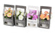 Artificial 15cm Mixed Carnation Plants with Gift Box Collection - Closer2Nature