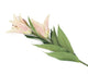 Artificial 87cm Single Stem Cream and Pale Pink Oriental Lily - Closer2Nature