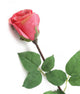 Artificial 52cm Single Stem Closed Bud Coral Pink Rose - Closer2Nature