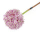 Artificial 89cm Single Stem Purple Allium - Closer2Nature
