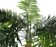 Artificial 3ft 6" Kentia Palm Tree - Closer2Nature