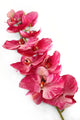 Artificial 109cm Single Stem Magenta Phalaenopsis Orchid - Closer2Nature