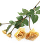 Artificial 87cm Single Stem Golden Yellow and Pink Tipped Spray Rose - Closer2Nature