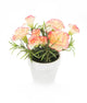 Artificial 15cm Peach Carnation Plant with Gift Box - Closer2Nature