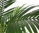 Artificial 4ft 6" Areca Palm Tree - Closer2Nature