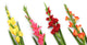 Artificial 118cm Single Stem Pink Gladiolus - Closer2Nature
