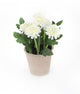 Artificial 18cm White Chrysanthemum Plant with Gift Box - Closer2Nature
