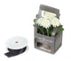 Artificial 18cm White Chrysanthemum Plant with Gift Box - Closer2Nature