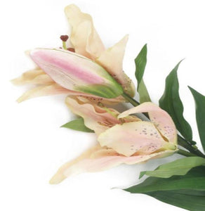 Artificial 87cm Single Stem Cream and Pale Pink Oriental Lily - Closer2Nature