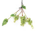 Artificial 76cm Single Stem Green Lilac Blossom - Closer2Nature