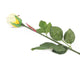 Artificial 60cm Single Stem Closed Bud Yellow and Cream Rose - Closer2Nature