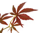 Artificial 4ft 6″ Russet Brown Japanese Maple Tree - Closer2Nature