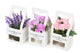 Artificial 18cm Purple Bellflower Plant with Gift Box - Closer2Nature
