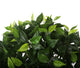 Artificial 2ft Danielle Weeping Fig Tree - Closer2Nature