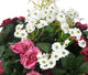 Artificial Pink Rose and White Daisy Display in a 10″ Round Willow Hanging Basket - Closer2Nature