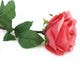 Artificial 72cm Single Stem Fully Open Coral Pink Rose - Closer2Nature