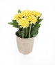 Artificial 18cm Yellow Chrysanthemum Plant with Gift Box - Closer2Nature