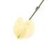 Artificial 64cm Single Stem Cream Anthurium - Closer2Nature