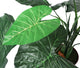 Artificial 2ft Taro Plant - Closer2Nature