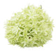 Artificial 89cm Single Stem Green Allium - Closer2Nature