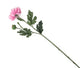Artificial 55cm Single Stem Pink Chrysanthemum - Closer2Nature