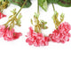 Artificial 38cm Pink Zonal Geranium Plug Plant - Closer2Nature