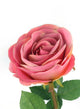Artificial 72cm Single Stem Fully Open Dusky Pink Rose - Closer2Nature