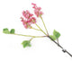 Artificial 76cm Single Stem Pink Lilac Blossom - Closer2Nature