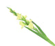Artificial 118cm Single Stem Green Gladiolus - Closer2Nature