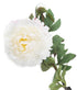 Artificial 80cm Single Stem White Peony